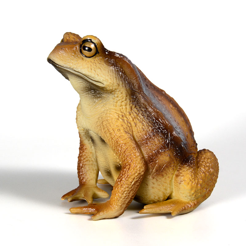 Kids Toys Packaging - Figurine de grenouille amphibie, modèle d'insecte,