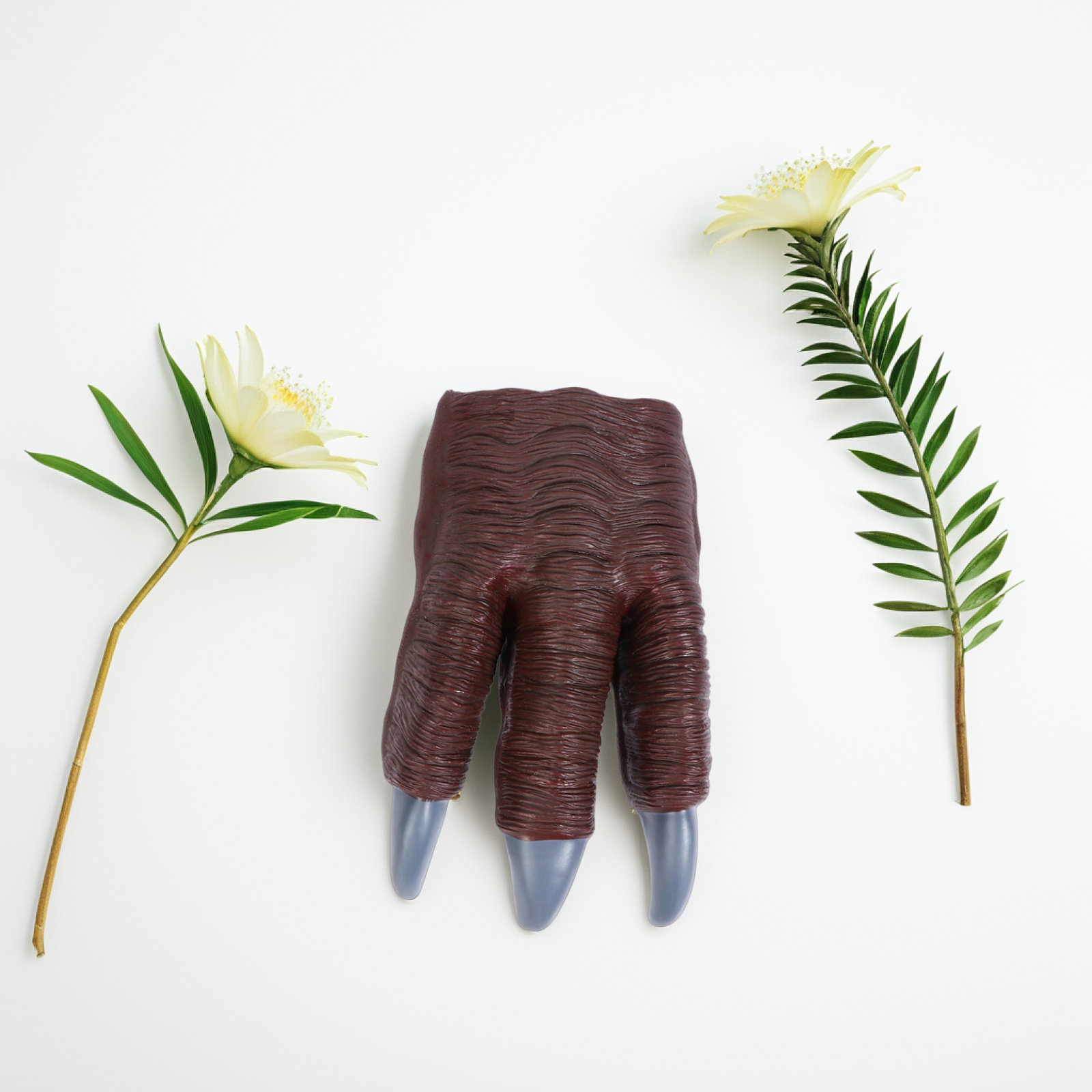 2 paires de gants en forme de  - Kids Toys Dinosaur avis et prix