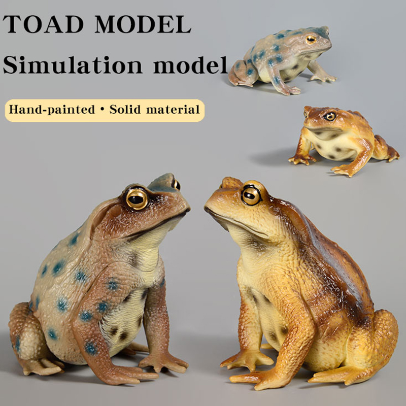 Figurine de grenouille amphibi - Kids Toys Packaging avis et prix