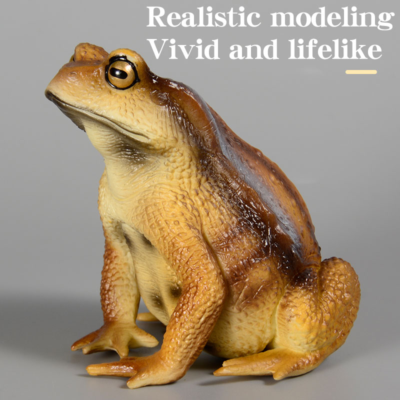 Figurine de grenouille amphibi - Kids Toys Packaging avis et prix